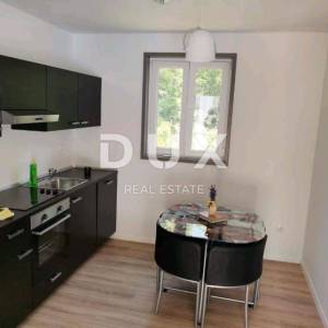 ISTRA, LABIN - Obiteljsko imanje kuća + dva apartmana sa bazenom!