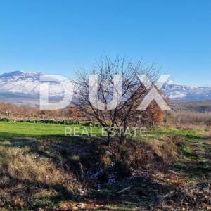Istra, Labin, Pićan - Potpuna osama i prekrasan pogled!! Građevinsko zemljište 750m2 i poljoprivredno 692 m2