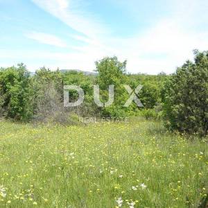 ISTRA, LABIN -  poljoprivredno zemljište 44000m2 sa ruševnim objektom