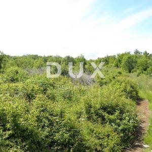 ISTRA, LABIN -  poljoprivredno zemljište 44000m2 sa ruševnim objektom