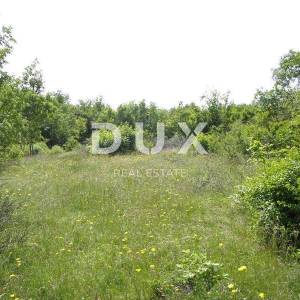 ISTRA, LABIN -  poljoprivredno zemljište 44000m2 sa ruševnim objektom