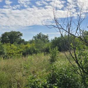 ISTRA, LABIN - Prostrano imanje s 3 kuće i 18.500 m2 zemljišta