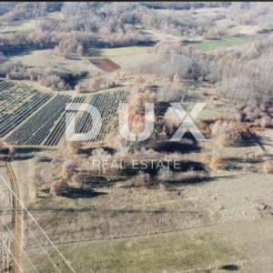 ISTRA, LABIN - Prostrano poljoprivredno zemljište