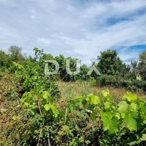 ISTRA, LABIN - Prostrano zemljište s panoramskim pogledom