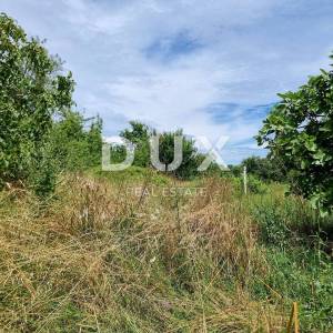 ISTRA, LABIN - Prostrano zemljište s panoramskim pogledom