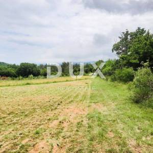 ISTRA, LABIN, RABAC - Prostrano poljoprivredno zemljište 13 688m2 u blizini mora