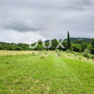 ISTRA, LABIN, RABAC - Prostrano poljoprivredno zemljište 13 688m2 u blizini mora