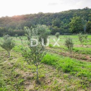 ISTRA, LABIN, RABAC - Prostrano poljoprivredno zemljište 13 688m2 u blizini mora