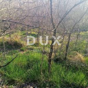 ISTRA, LABIN - Ruševina od 74 m2 s 2046 m2 građevinskog zemljišta 