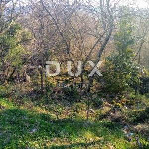ISTRA, LABIN - Ruševina od 74 m2 s 2046 m2 građevinskog zemljišta 