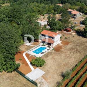 ISTRA, LABIN - Samostojeća kamena vila s bazenom