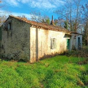 ISTRA, LABIN - Starina za adaptaciju s velikom okućnicom