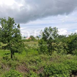 ISTRA, LABIN - Veliko poljoprivredno zemljište na rubu urbanizacije, cijena po dogovoru!
