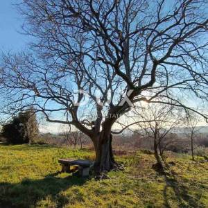 ISTRA, LABIN(Okolica) - Dvojna kuća s pogledom na more