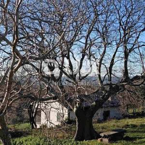 ISTRA, LABIN(Okolica) - Dvojna kuća s pogledom na more