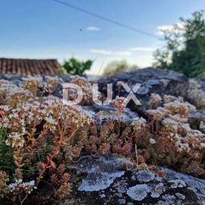 ISTRA, LIVADE (OKOLICA) - Kamene starine s panoramskim pogledom 