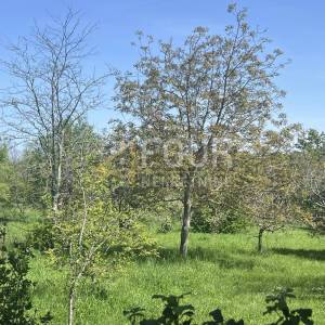 Istra, Ližnjan - okolica, poljoprivredno zemljište, 820m2
