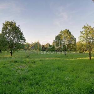 Istra, Ližnjan, poljoprivredno zemljište 3.143m2