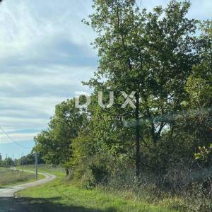ISTRA, LOVREČ - Građevinsko zemljište okruženo prirodom