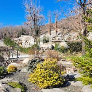 ISTRA, LUPOGLAV - Kamena kuća na kraju sela s velikom okućnicom