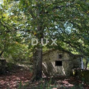 ISTRA, LUPOGLAV Prekrasna stancija idealna za agroturizam, održavanje vjenčanja i evenata! 