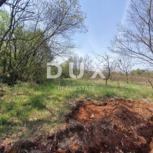 ISTRA, MARČANA - Građevinsko zemljište na rubu naselja