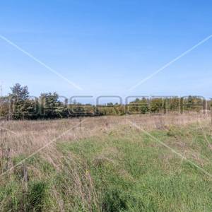 Istra, Marčana – Građevinsko zemljište s pravomoćnom građevinskom dozvolom 500 m