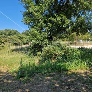 Istra, Marčana, građevinsko zemljište 1112 m2 poslovne namjene sa građevinskom d