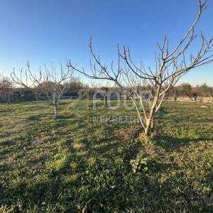 Istra, Marčana, građevinsko zemljište 1.000m2