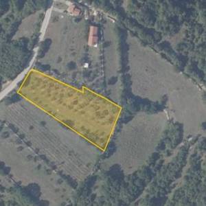 ISTRA, MARČANA - Kombinacija građevinskog i poljoprivrednog zemljišta na mirnoj lokaciji!
