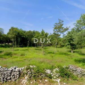 ISTRA, MARČANA - Komforno građevinsko zemljište