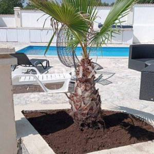 ISTRA, MARČANA - Obnovljena kuća s bazenom