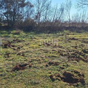 Istra, Marčana - okolica, građevinsko zemljište, 650m2