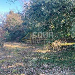 Istra, Marčana - okolica, poljoprivredno zemljište 702m2