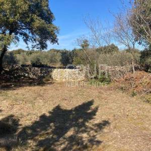 Istra, Marčana - okolica, poljoprivredno zemljište 702m2