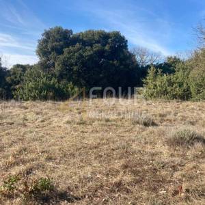 Istra, Marčana - okolica, poljoprivredno zemljište 702m2