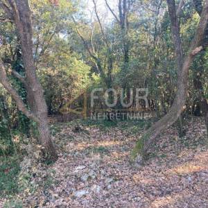 Istra, Marčana - okolica, poljoprivredno zemljište 702m2