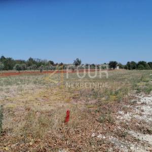 Istra, Marčana, poljoprivredno zemljište, 500m2