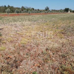 Istra, Marčana, poljoprivredno zemljište, 500m2