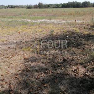 Istra, Marčana, poljoprivredno zemljište, 500m2