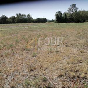 Istra, Marčana, poljoprivredno zemljište, 500m2