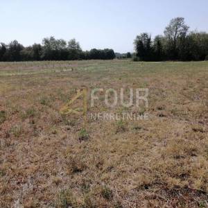Istra, Marčana, poljoprivredno zemljište, 500m2