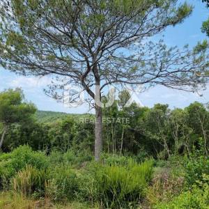 ISTRA, MARČANA - Prostrano zemljište turističke namjene
