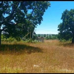Istra, Marčana, veliko imanje od 170.000m2