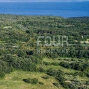 Istra, Marčana, zemljište 5.932m2 od čega je 1.477m2 u građevinskoj zoni