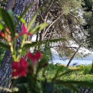 Istra, Medulin, 2 apartmana, okućnica, pogled na more