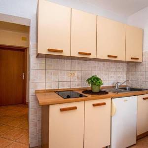 ISTRA, MEDULIN Obiteljska kuća s apartmanima u Banjolama - 500 m OD MORA!!