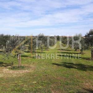 Istra, Medulin, poljoprivredno zemljište 9.327m2