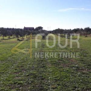 Istra, Medulin, poljoprivredno zemljište 9.327m2