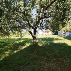 ISTRA, MEDULIN - Poljprivredno zemljište sa dva legalizirana objekta!